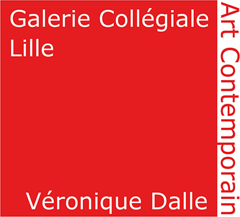 Galerie Collgiale - Lille